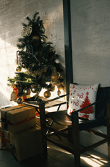 Giáng sinh, cây thông, trang trí, christmas, pine tree, decoration, noel- Dũng phạm 1