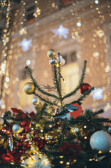Trái châu, cây thông, trang trí, không khí giáng sinh, christmas balls, christmas tree, decoration, christmas atmosphere -  Elina Fairytale