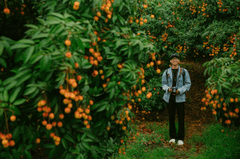 Con trai, chụp ảnh, vườn vải, nông dân, lychee garden, boy, farmer - HONG SON 3