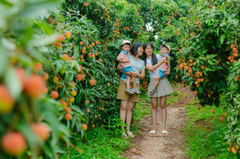 Trẻ em, vườn vải, nông dân, childrens, lychee garden, woman, farmer - HONG SON 1