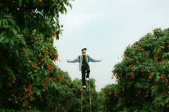 Con trai, chụp ảnh, vườn vải, nông dân, lychee garden, boy, farmer - HONG SON