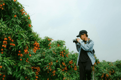 Con trai, chụp ảnh, vườn vải, nông dân, lychee garden, boy, farmer - HONG SON 1