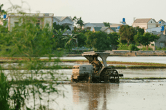 Nông dân, farmer, farm, cấy lúa, trồng lúa, nông thôn, miền quê, Việt Nam - HONG SON 13