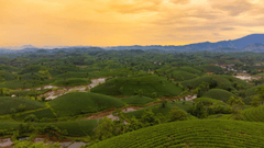 Bình minh, núi, sunrise, mountain- HONG SON