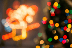 Giáng sinh, đèn, cây thông, hộp quà, gift, pine, xmas, christmas, noel, background, light - Toni Cuenca 4
