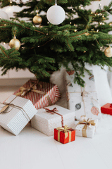 Giáng sinh, quà tặng, hộp quà, gift box, gift, cây thông, pine, xmas, noel, christmas, merry christmas - Karola G 4