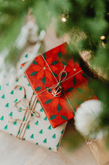 Giáng sinh, quà tặng, hộp quà, gift box, gift, cây thông, pine, xmas, noel, christmas, merry christmas - Karola G 2