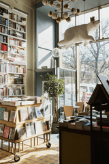 Nhà sách, sách vở, không gian, trang trí, bookstore, books, space, decoration - Ksenia Chernaya 4