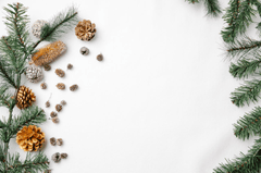Giáng sinh, cây thông, quả thông, trang trí, christmas, pine tree, pine cones, decoration - Laura James