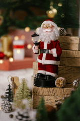 Ông già noel, giáng sinh, cây thông, pine tree, noel, christmas- Laura James 3