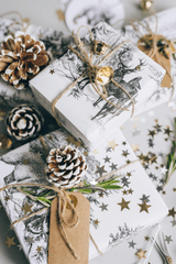 Giáng sinh, quà tặng, hộp quà, gift box, gift, cây thông, pine, xmas, noel, christmas, merry christmas - Leeloo The First 1