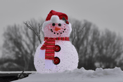 Giáng sinh, người tuyết, tuyết, dễ thương, trang trí, christmas, snowman, snow, cute, decoration - Adriaan Greyling