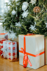 Hộp quà, quà giáng sinh, trang trí, nơ, gift box, Christmas gift, decor, bow - Nguyễn Tiến Thịnh 1
