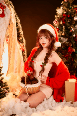 Giáng sinh, con gái, girl, studio, người mẫu, xmas, noel, christmas, merry christmas - Đan Thy Nguyễn Mai 34