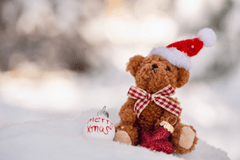 Giáng sinh, gấu bông, tuyết, trái châu, dễ thương, trang trí, Christmas, teddy bear, snow, ball, cute, decoration - Susanne Jutzeler, suju-foto 3