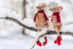 Giáng sinh, cặp đôi chuột, chuột giáng sinh, trang trí, dễ thương, tuyết, christmas, mouse couple, christmas mouse, decoration, cute, snow - Susanne Jutzeler, suju-foto 1