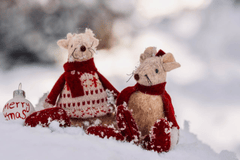 Giáng sinh, cặp đôi chuột, chuột giáng sinh, trang trí, dễ thương, tuyết, christmas, mouse couple, christmas mouse, decoration, cute, snow - Susanne Jutzeler, suju-foto 3