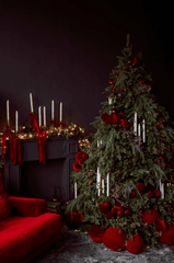 Giáng sinh, quả châu, trái châu, cây thông, hộp quà, gift, pine, xmas, christmas, noel, background, decor- Valeria Boltneva 4