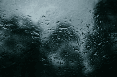 Mưa, hạt mưa, giọt nước, rain, raindrops, water drops - ROMAN ODINTSOV