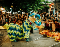 Lân, múa lân,  lion dance, tết, xuân, spring- Thái Trường Giang 2
