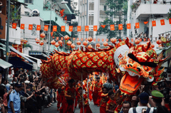 Lân, múa lân,  lion dance, tết, xuân, spring- Tuan Vy 10