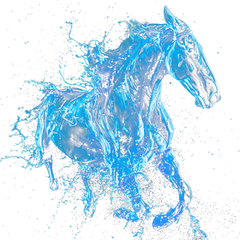 Ngựa, ánh sáng, nước, horses, light, water