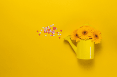 Bình hoa, bình tưới, hoa hướng dương, màu vàng, vase, watering can, sunflower, yellow