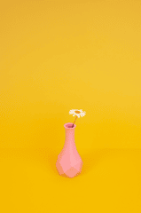Bình hoa, hoa, đơn giản, hoa cúc họa mi, vase, flowers, simple, daisies