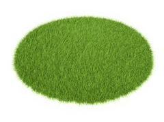 Grass, bụi cỏ, bãi cỏ, cỏ, lá cây, thiên nhiên, grass background, background