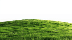 Grass, bụi cỏ, bãi cỏ, cỏ, lá cây, thiên nhiên, grass background, background 1