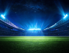 Sân cỏ, sân bóng, football, soccer, thể thao, sport, grass, stadium 4