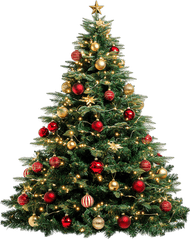 Cây thông, thông, pine, hộp quà, gift, giáng sinh, xmas, christmas, noel 2