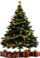 Cây thông, thông, pine, hộp quà, gift, giáng sinh, xmas, christmas, noel