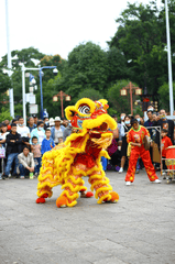 Múa lân, lễ hội, festival, Tết, Tết holiday, văn hóa - HONG SON 19
