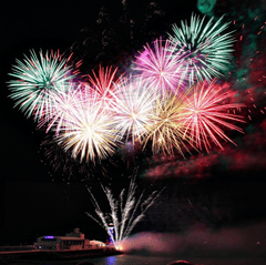Pháo hoa, pháo, firework, tết, lễ hội, festival, hình nền, background - Rino Adamo 27
