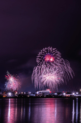 Pháo hoa, pháo, firework, tết, lễ hội, festival, hình nền, background - Rino Adamo 61