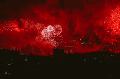 Pháo hoa, pháo, firework, tết, lễ hội, festival, hình nền, background - Rino Adamo 26