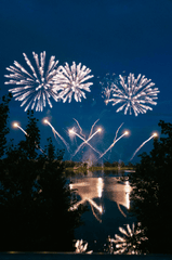Pháo hoa, pháo, firework, tết, lễ hội, festival, hình nền, background - Rino Adamo 56