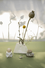 Chậu cây, hoa, tĩnh vật, trang trí, potted plants, flower, still life, decorations - KATRIN BOLOVTSOVA