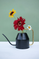 Chậu cây, hoa, tĩnh vật, trang trí, potted plants, flower, still life, decorations - KATRIN BOLOVTSOVA