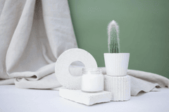 Chậu cây, nến, xương rồng, sen đá, tĩnh vật, trang trí, potted plants, candle, cacti, stone lotus, still life, decorations- KATRIN BOLOVTSOVA