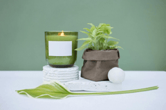 Chậu cây, nến, xương rồng, sen đá, tĩnh vật, trang trí, potted plants, candle, cacti, stone lotus, still life, decorations- KATRIN BOLOVTSOVA