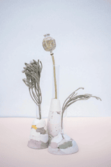 Chậu cây, xương rồng, sen đá, tĩnh vật, trang trí, potted plants, cacti, stone lotus, still life, decorations - KATRIN BOLOVTSOVA