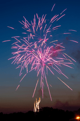 Pháo hoa, pháo, firework, tết, lễ hội, festival, hình nền, background - Rino Adamo 45