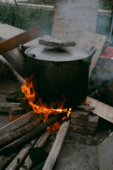 Nồi bánh, bánh chưng, Tết, Tết Nguyên Đán, pot for making rice cakes, flowers, Tet, Lunar New Year- Lylah To