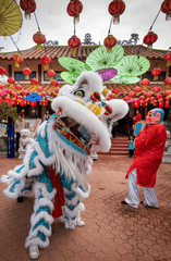 Múa lân, lễ hội, festival, Tết, Tết holiday, văn hóa - HONG SON 9