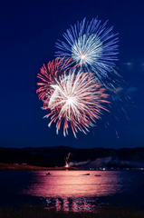 Pháo hoa, pháo, firework, tết, lễ hội, festival, hình nền, background - Rino Adamo 55
