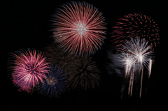 Pháo hoa, pháo, firework, tết, lễ hội, festival, hình nền, background - Rino Adamo 31
