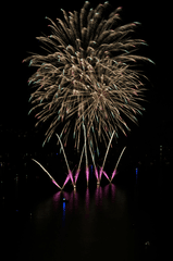Pháo hoa, pháo, firework, tết, lễ hội, festival, hình nền, background - Rino Adamo 14