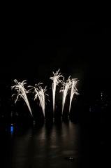 Pháo hoa, pháo, firework, tết, lễ hội, festival, hình nền, background - Rino Adamo 5